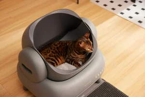 Clay vs. Cassava Litter in Tofu-Based Cat Litter Formulations