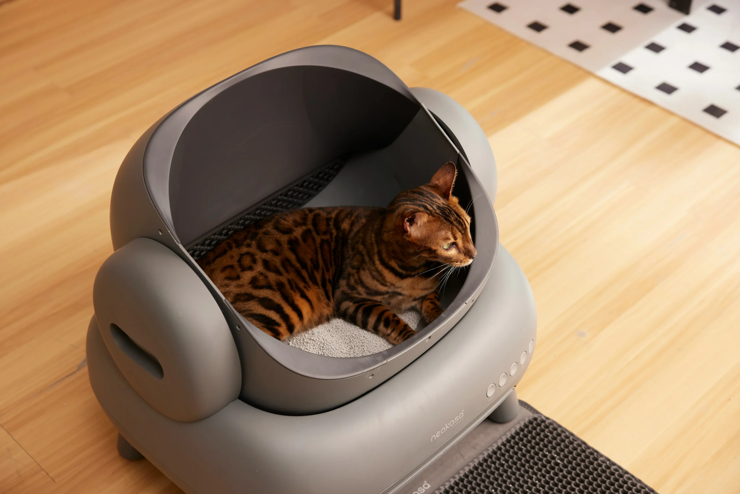 Clay vs. Cassava Litter in Tofu-Based Cat Litter Formulations