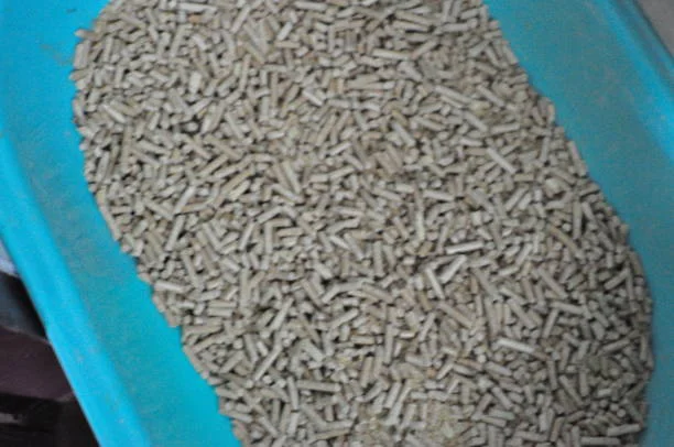 cassava litter