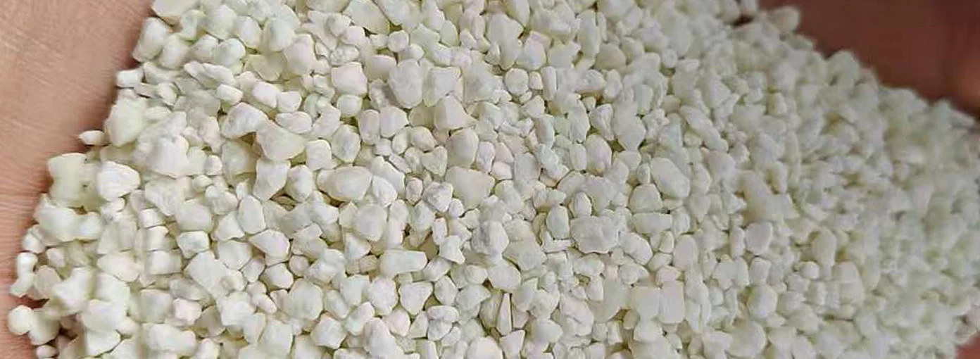 Why Cat Poop Smells Terrible and What To Do About It.