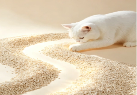 How Do You Get Rid of Large Amounts of Cat Litter? How Do You Get Rid of Large Amounts of Cat Litter?